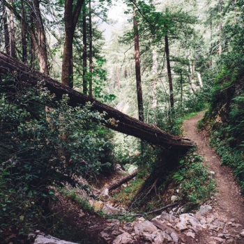 Trailoverzichten