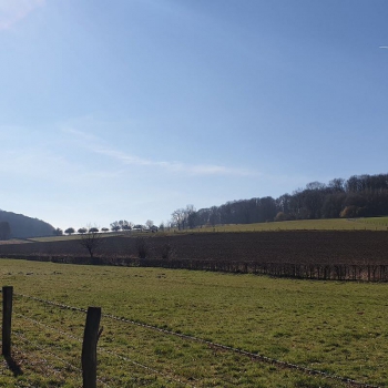 Dodemanstrail in Schin op Geul