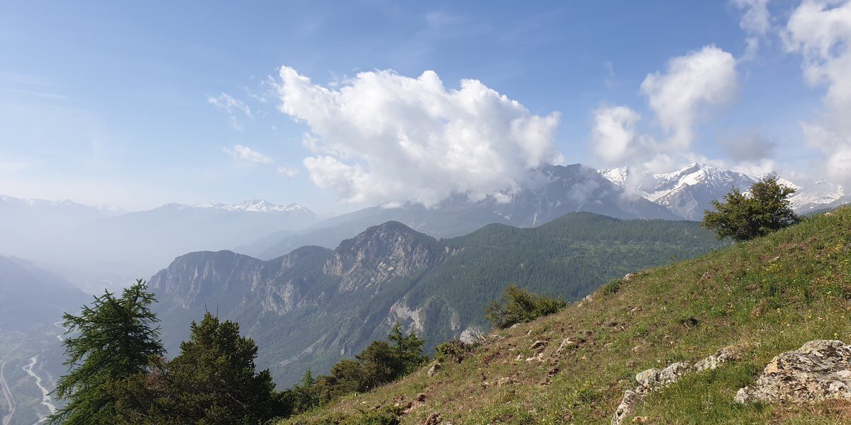 2019 06 trailecrins1